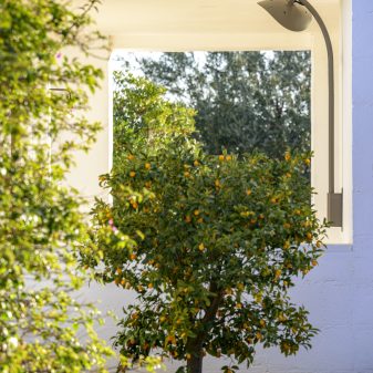 Hotdoor fali karos infrahősugárzó Short